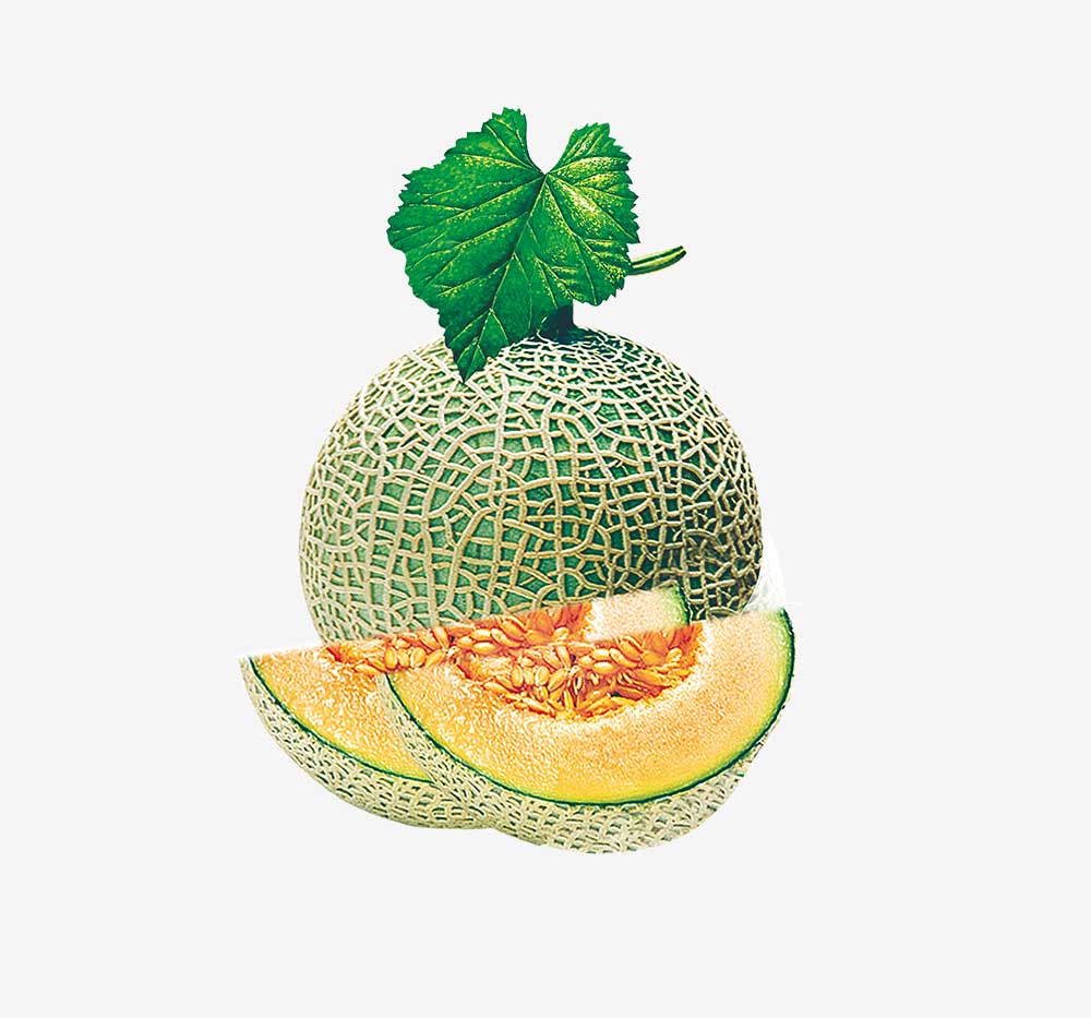 Guava fruit - Imagen 4